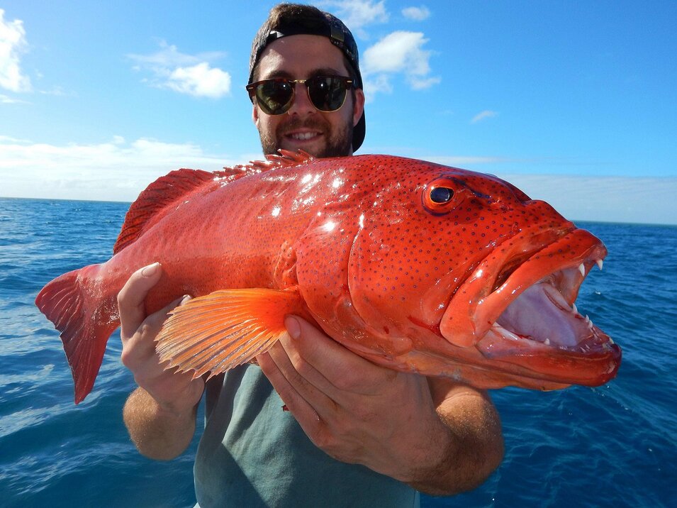 male angler pointing his coral trout towards the camera 