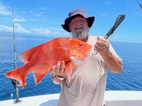 Angler holding a freshly caught Red emperor fish
