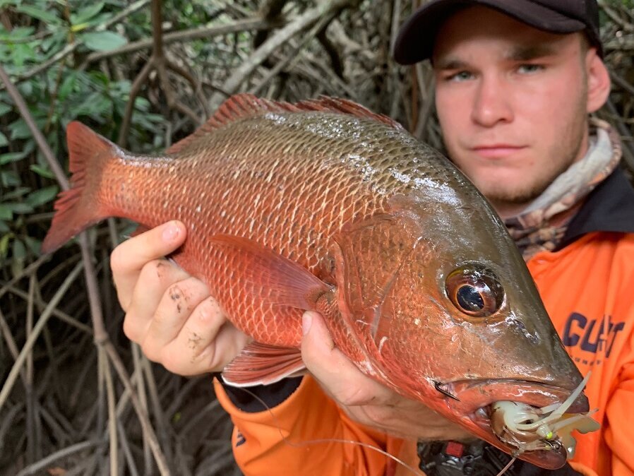 Man wearing orange jacket showing a mangrove jack fish 
