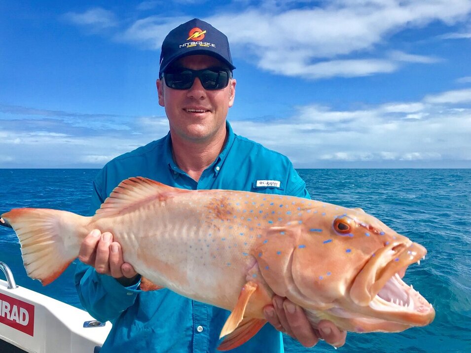 male angler showing his coral trout catch