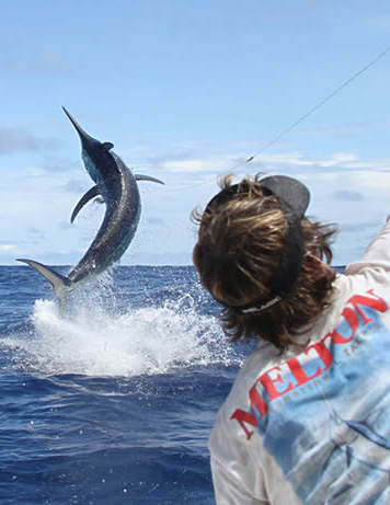 A marlin jumping out of the water